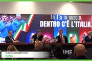 Frutta in guscio, l'alimentazione e il rugby fanno squadra