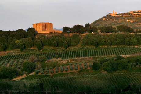 Montalcino