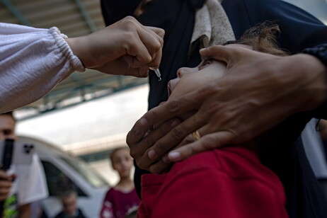 Second round of emergency polio vaccination campaign starts in the Gaza Strip