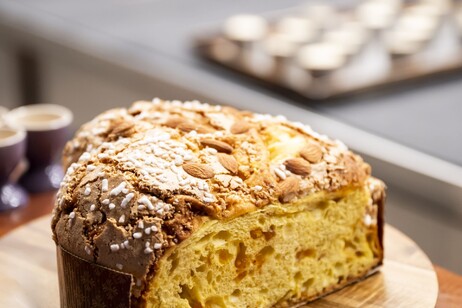 La colomba alle albicocche arrosto di Daniel Canzian