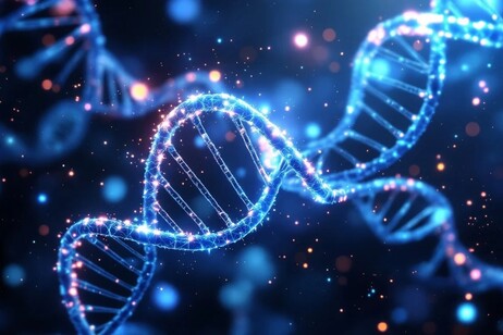 Rappresentazione artistica di due molecole di Dna (fonte: StockCake)