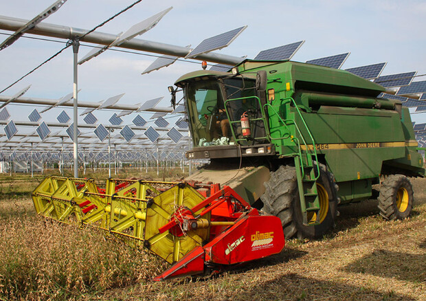 Mappa dell'Enea sul potenziale agrivoltaico nazionale (ANSA)