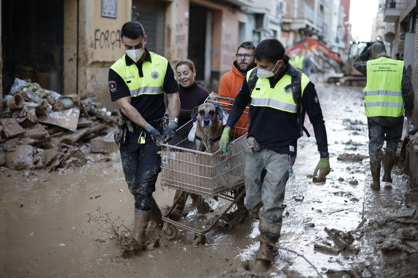 Floods aftermath in Valencia