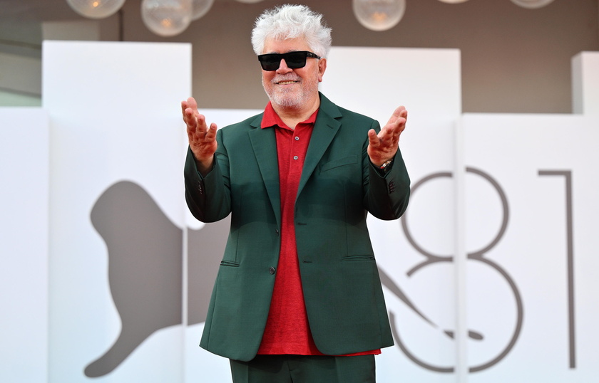 Queer - Red carpet- 81st Venice Film Festival