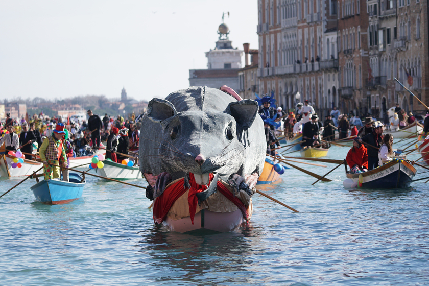 Venice carnival, reggata on the Grand Canal