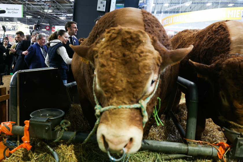 Opening of the annual agricultural fair in Paris