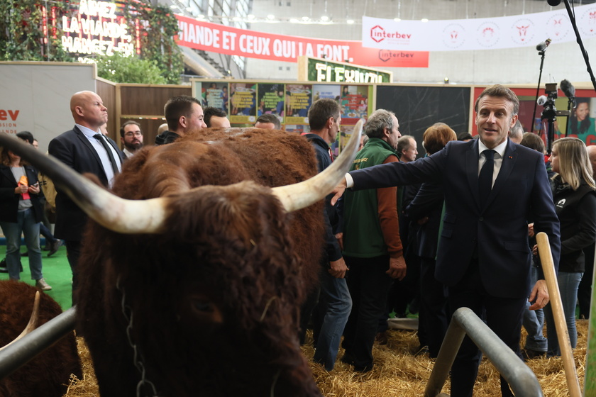 Opening of the annual agricultural fair in Paris