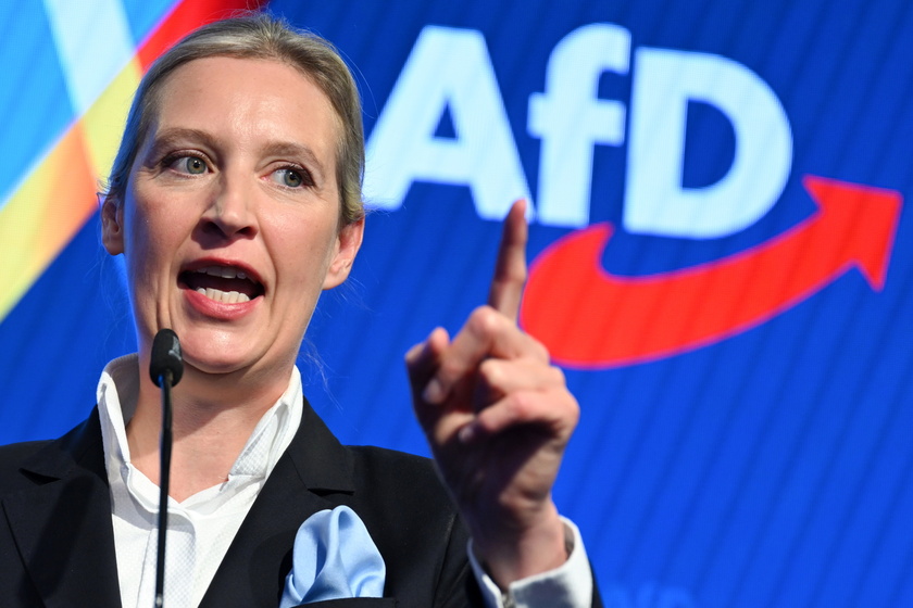 AfD election party in Berlin