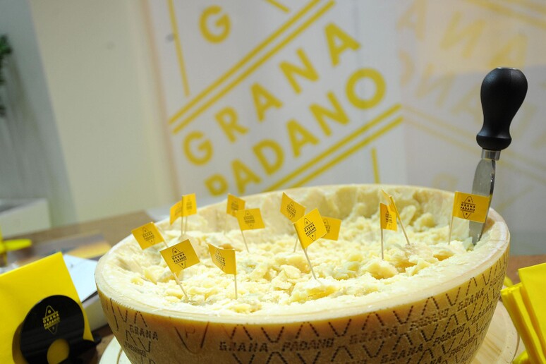 Grana Padano entra in "Valore D" a tutela equilibrio di genere - RIPRODUZIONE RISERVATA