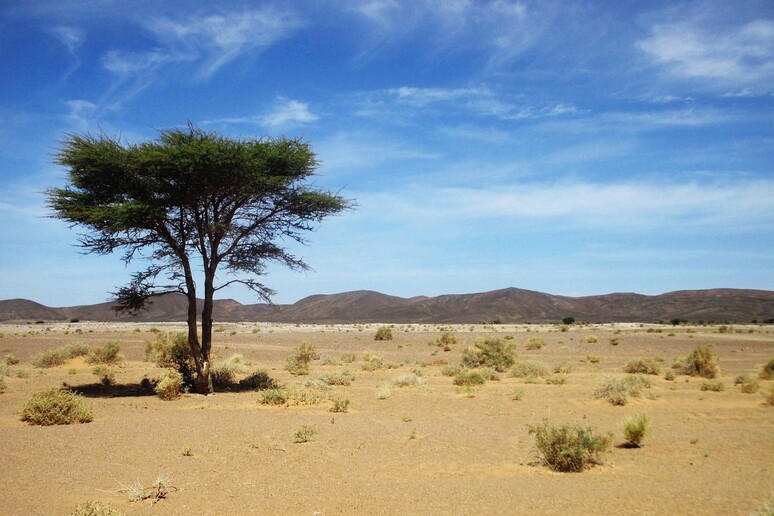 Madrid conferma sequestro cittadino spagnolo nel sud Algeria - RIPRODUZIONE RISERVATA