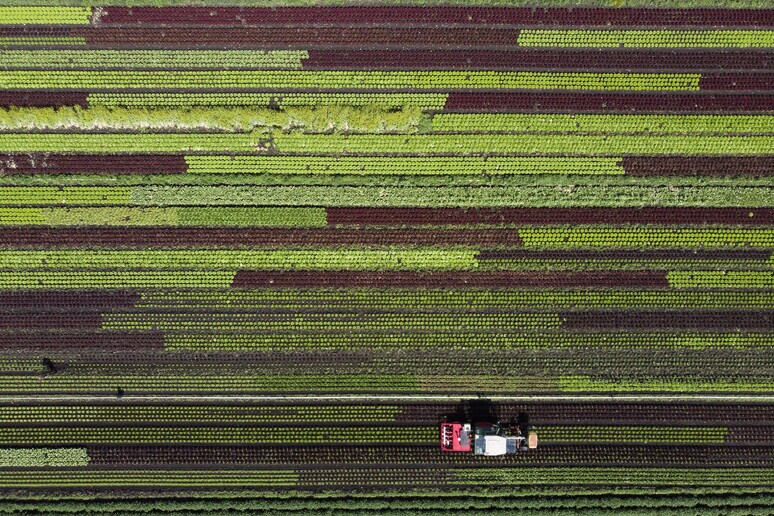 - RIPRODUZIONE RISERVATA