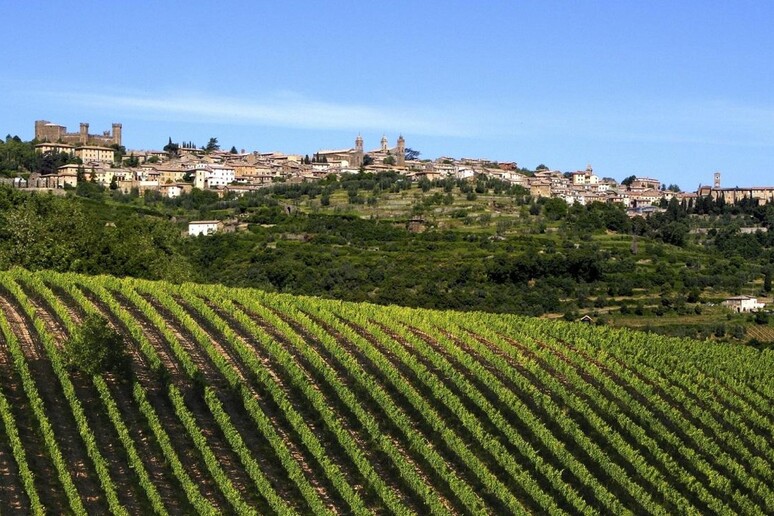 Montalcino - RIPRODUZIONE RISERVATA