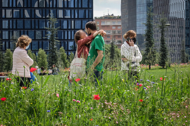 Prato in fiore a Porta Nuova Bosco Verticale. Immagine d 'archivio - RIPRODUZIONE RISERVATA