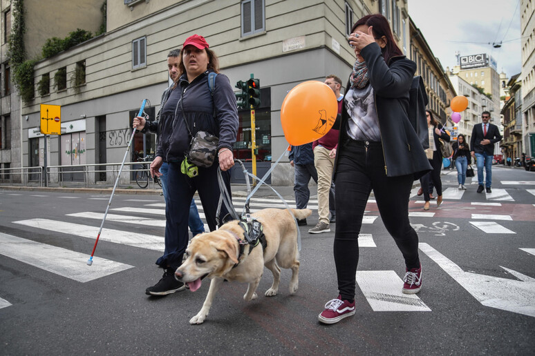 Manovra: biglietto del bus gratis per i cani guida, si allarga la platea - RIPRODUZIONE RISERVATA