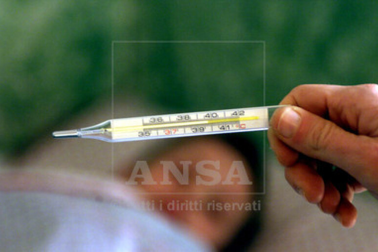 Influenza - RIPRODUZIONE RISERVATA