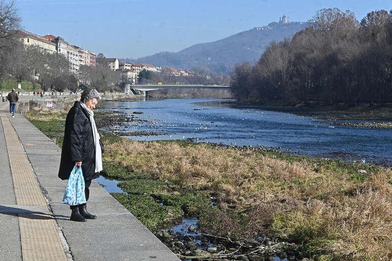 - RIPRODUZIONE RISERVATA