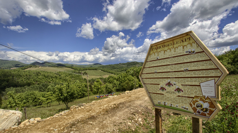 - RIPRODUZIONE RISERVATA