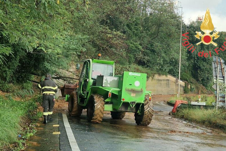 - RIPRODUZIONE RISERVATA