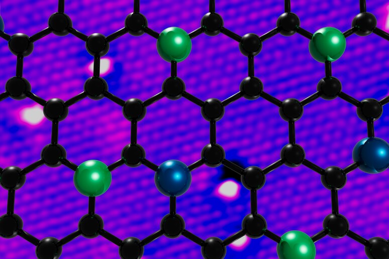 Atomi di cobalto e di nichel intrappolati in una rete di grafene (fonte:&nbsp;Valeria Chesnyak, Irene Modolo) - RIPRODUZIONE RISERVATA