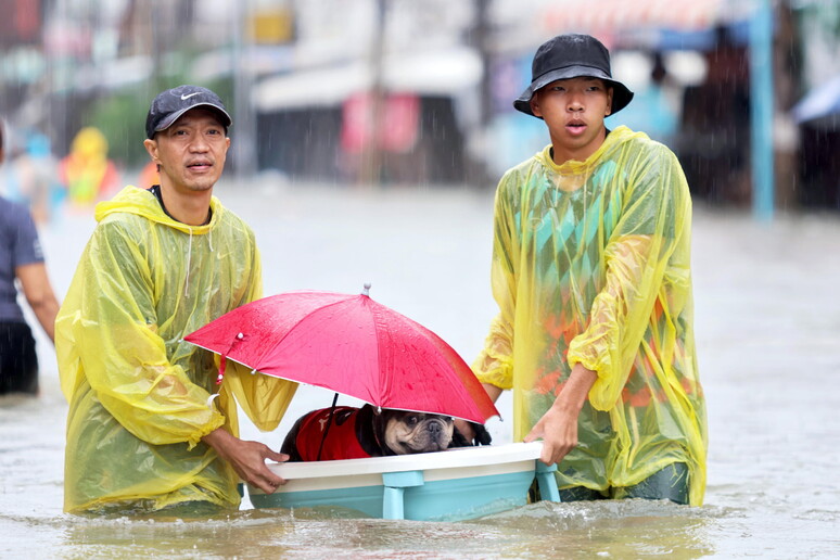 © ANSA/EPA