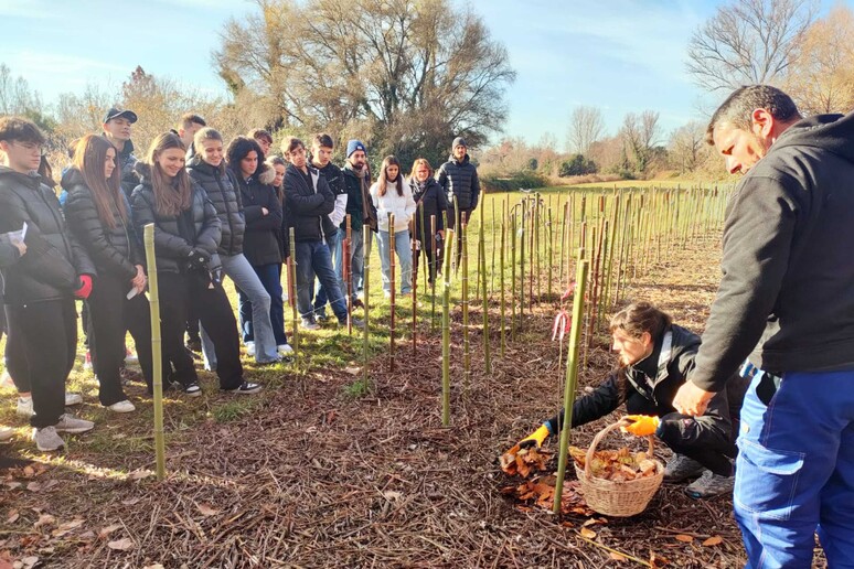 - RIPRODUZIONE RISERVATA