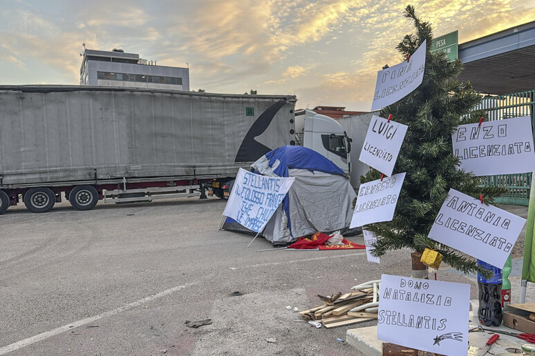 Stellantis: sit-in Trasnova Pomigliano, c 'e ' albero disoccupati - RIPRODUZIONE RISERVATA