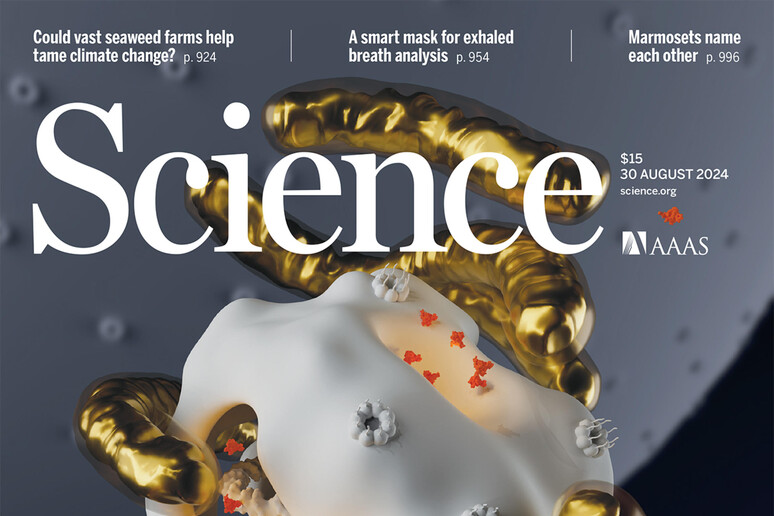 Ricerca italiana in copertina su Science - RIPRODUZIONE RISERVATA