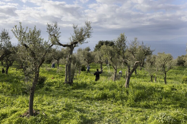 - RIPRODUZIONE RISERVATA