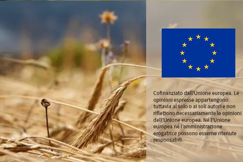 DG Agri - RIPRODUZIONE RISERVATA