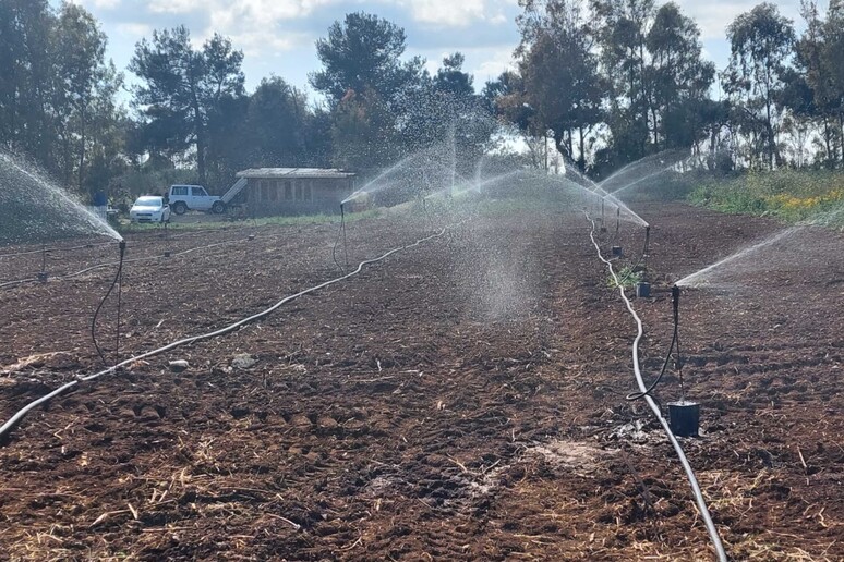 - RIPRODUZIONE RISERVATA