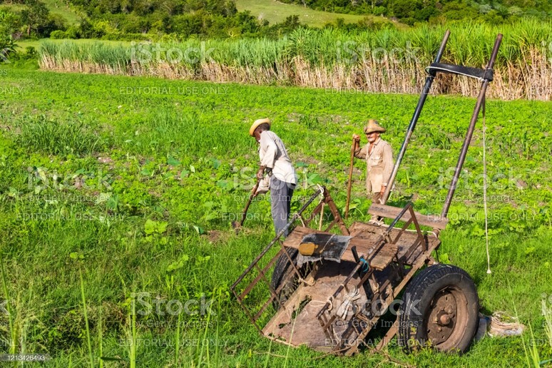 - RIPRODUZIONE RISERVATA